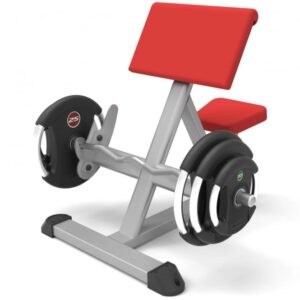 Preacher Curl Bench