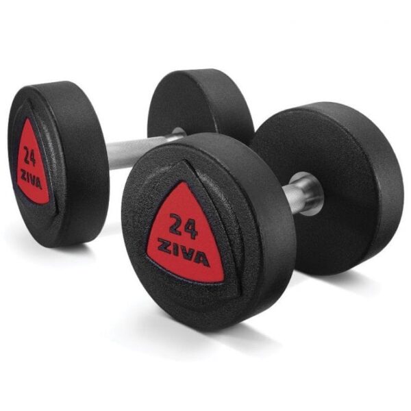 ZVO Urethane Dumbbells (Red Logo)